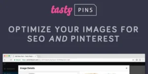 Tasty Pins WordPress Plugin for WP Tasty