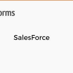 WPForms – SalesForce