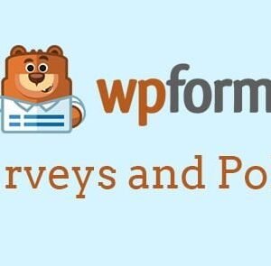 WPForms – Surveys and Polls