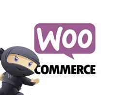 Invoice Payment Option