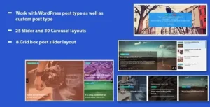 WP Responsive Recent Post Slider Pro WP OnlineSupport