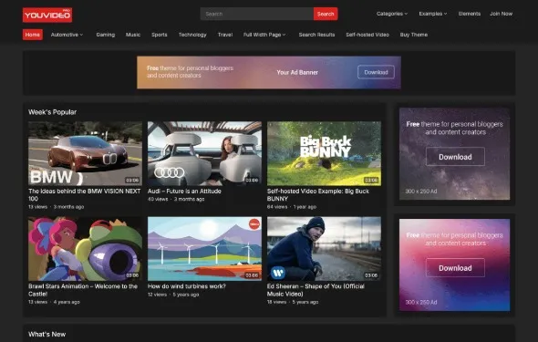 YouVideo Pro